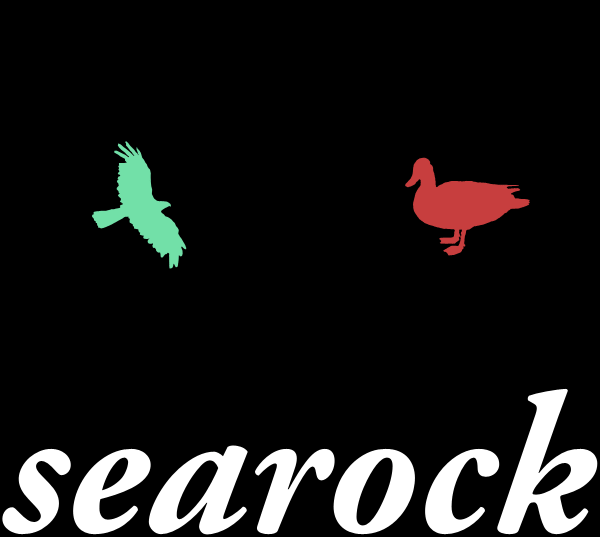 searock festival 2009